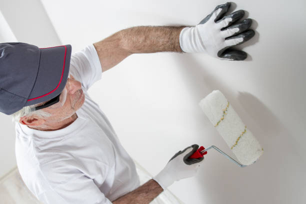 Forensic Mold Investigation in Rockwood, TN
