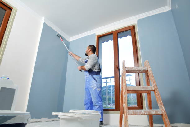 Best Mold Documentation for Insurance Claims  in Rockwood, TN