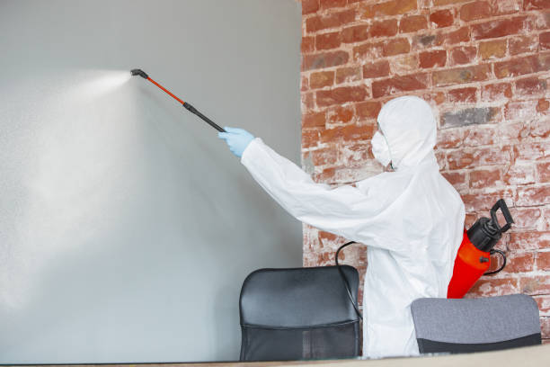 Best HVAC Mold Inspection and Cleaning  in Rockwood, TN