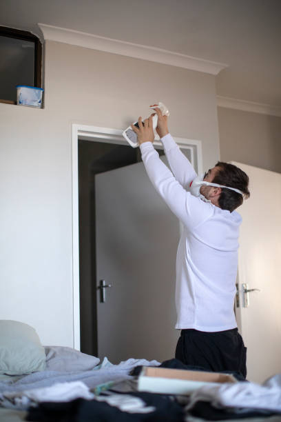 Best Black Mold Removal  in Rockwood, TN