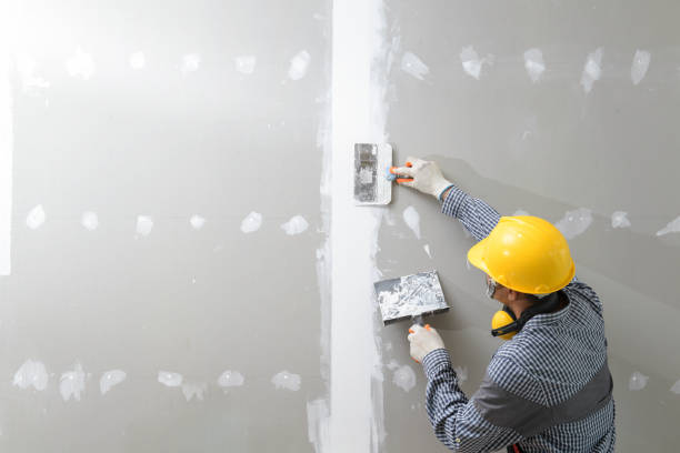 Best Biohazard Mold Removal  in Rockwood, TN
