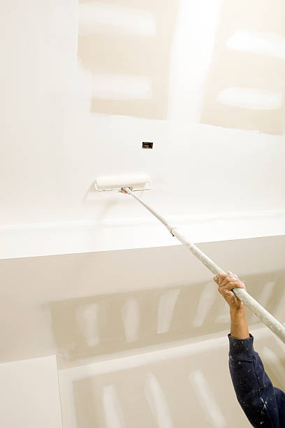  Rockwood, TN Mold Removal Pros