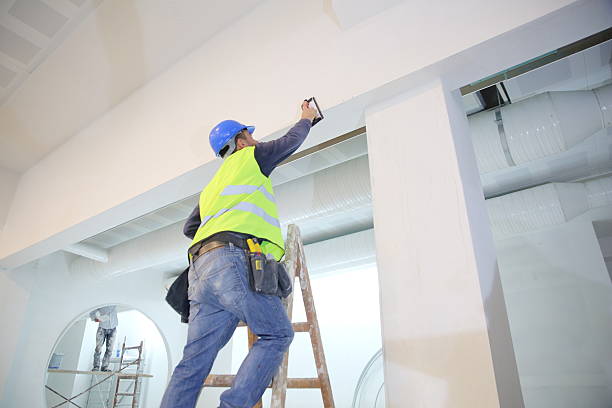 Best Mold Damage Restoration  in Rockwood, TN