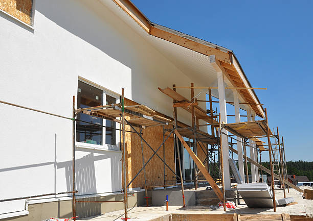 Best Real Estate Mold Inspection  in Rockwood, TN